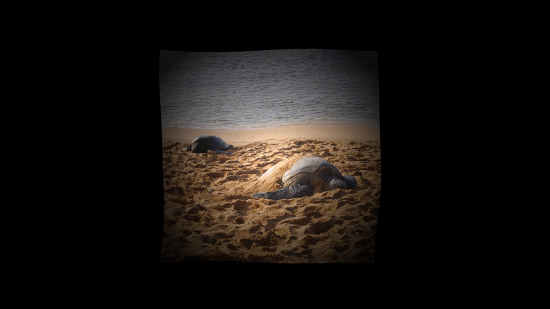 EffectComposerで揺らぎエフェクト